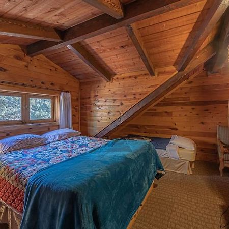 Forest Cabin 3 Bear'S Den Payson Exterior photo